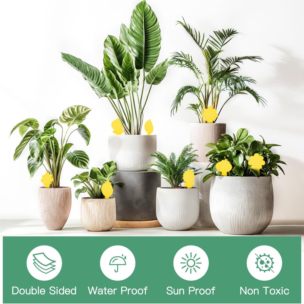 99 trampas de palo para plantas, trampas para mosquitos de hongos de doble cara con pala, seguras para interiores, color amarillo