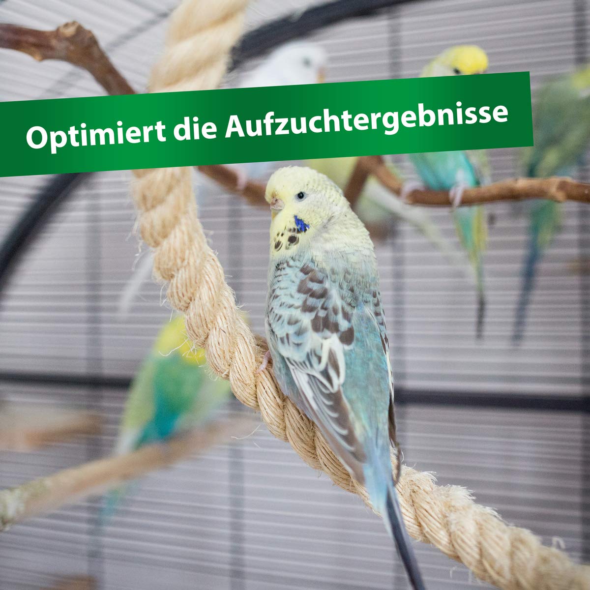 Röhnfried CropMilk 600 g | Préparation d'élevage pour nids | poussins de pigeons | élevage et développement optimal | Riche en nutriments