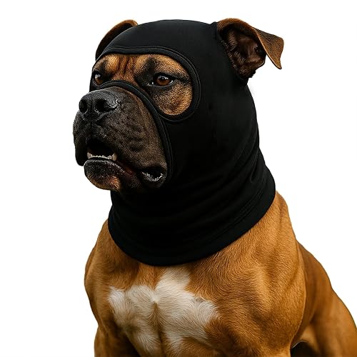 Colenumone Sombrero para Perro: Haz Que tu Perro se vea Salvaje; Casco elástico y Resistente al Viento