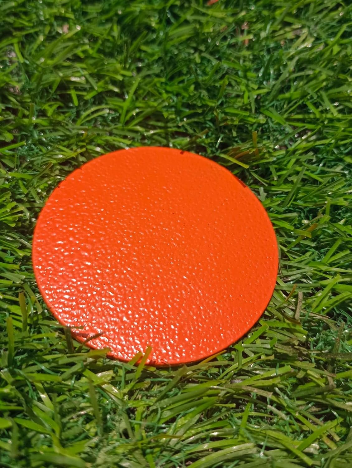 6 Pack Orange Boundary Markers Survey Stakes Ground Markers Property Line Markers Yard Survey Markers 6 inches Long 2 inches Dia of Head