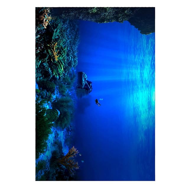 Foto 4 de 8 de FILFEEL Póster adhesivo de PVC con efecto 3D, fondo de acuario