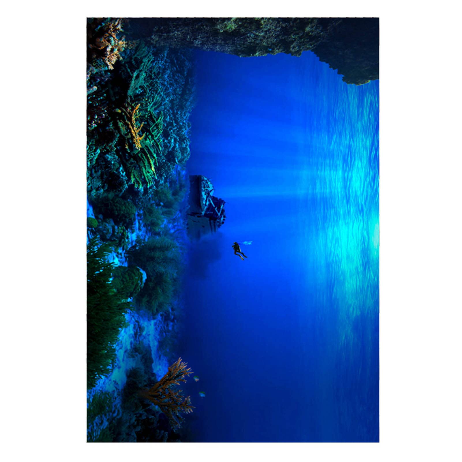 AQUARIUM POSTER, 3D UNDERWATER BACKGROUND STICKER, PVC ADHESIVE, FISH TANK DECORATIVE PAPER [REALISTIC 3D EFFECT, VIBRANT COLORS, DURABLE PVC MATERIAL] (91 * 50cm)