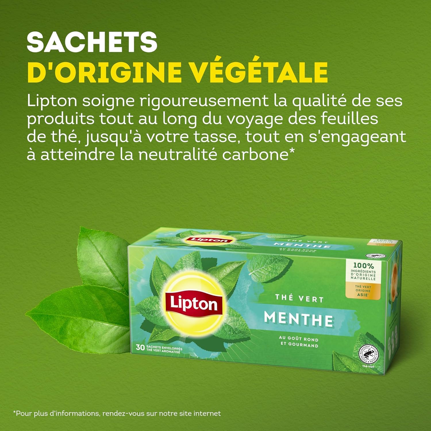 Lipton Pack Thé Vert classique Origine Asie, Thé vert menthe, Infusion à Froid ou Chaud, Ingrédients d'Origine 100% Naturelle, 500 sachets