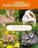 Ver la foto 3
