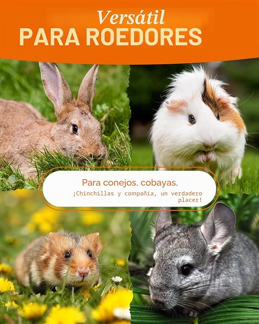 Foto 3 de 7 de petifool Flower Zauber 360 g - Alimento complementario para roedores