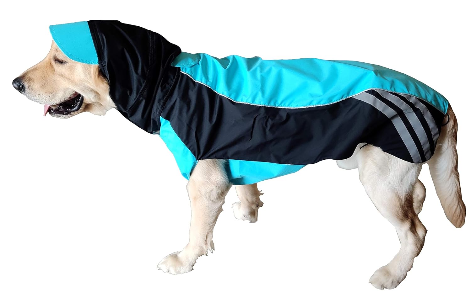 german shepherd raincoat