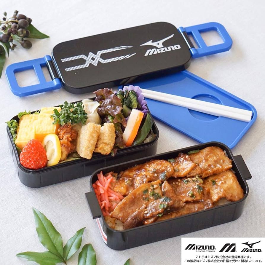 Amazon｜スケーター (skater) 2段 ランチボックス 600ml 弁当箱