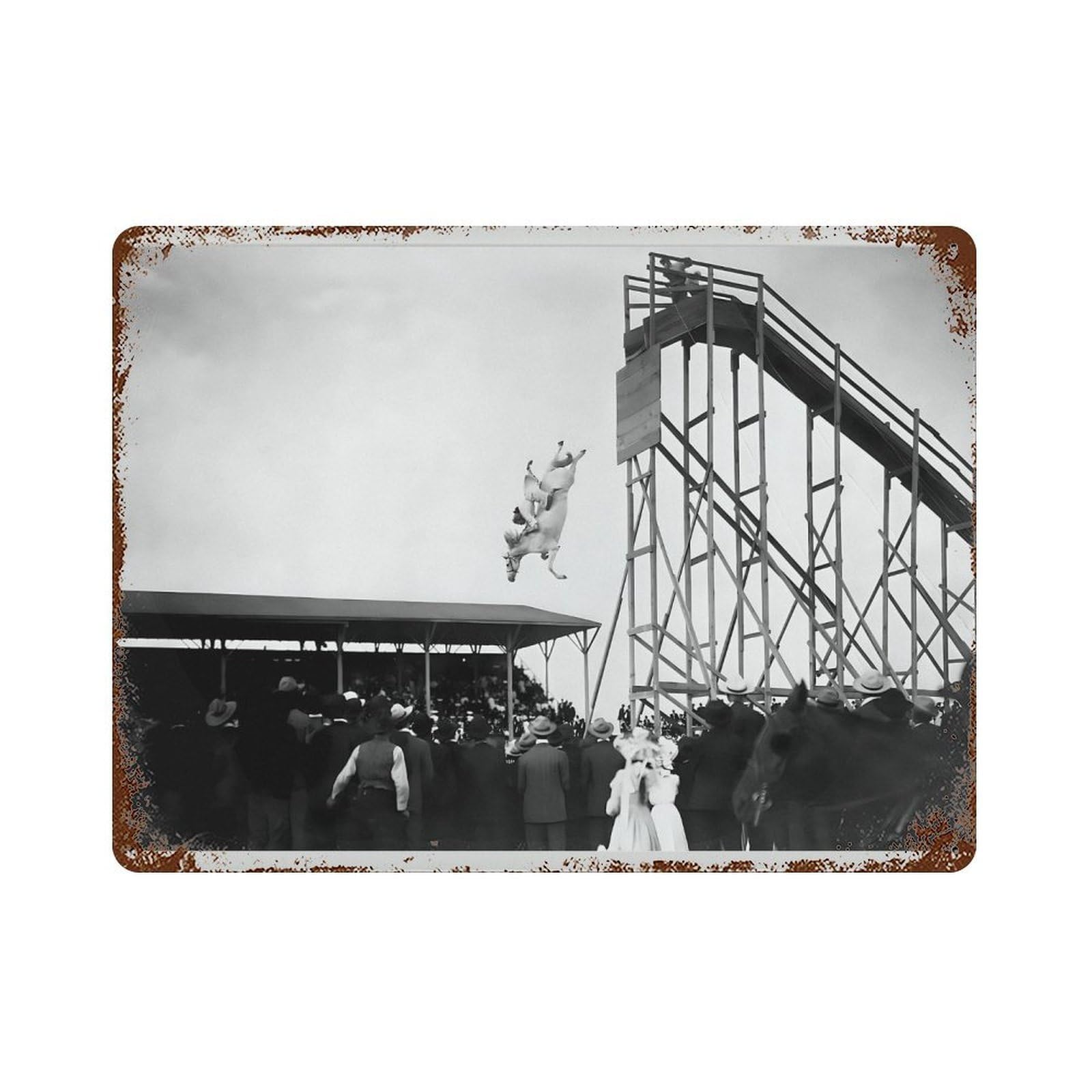 xiaoxiaoshen Black And White Vintage Horse Diving Antique Photo, Retro Wall Decor Art Metal Tin Poster Modern Home Decor Art Home Bar Shop Decorations Vintage Sign 30x40cm