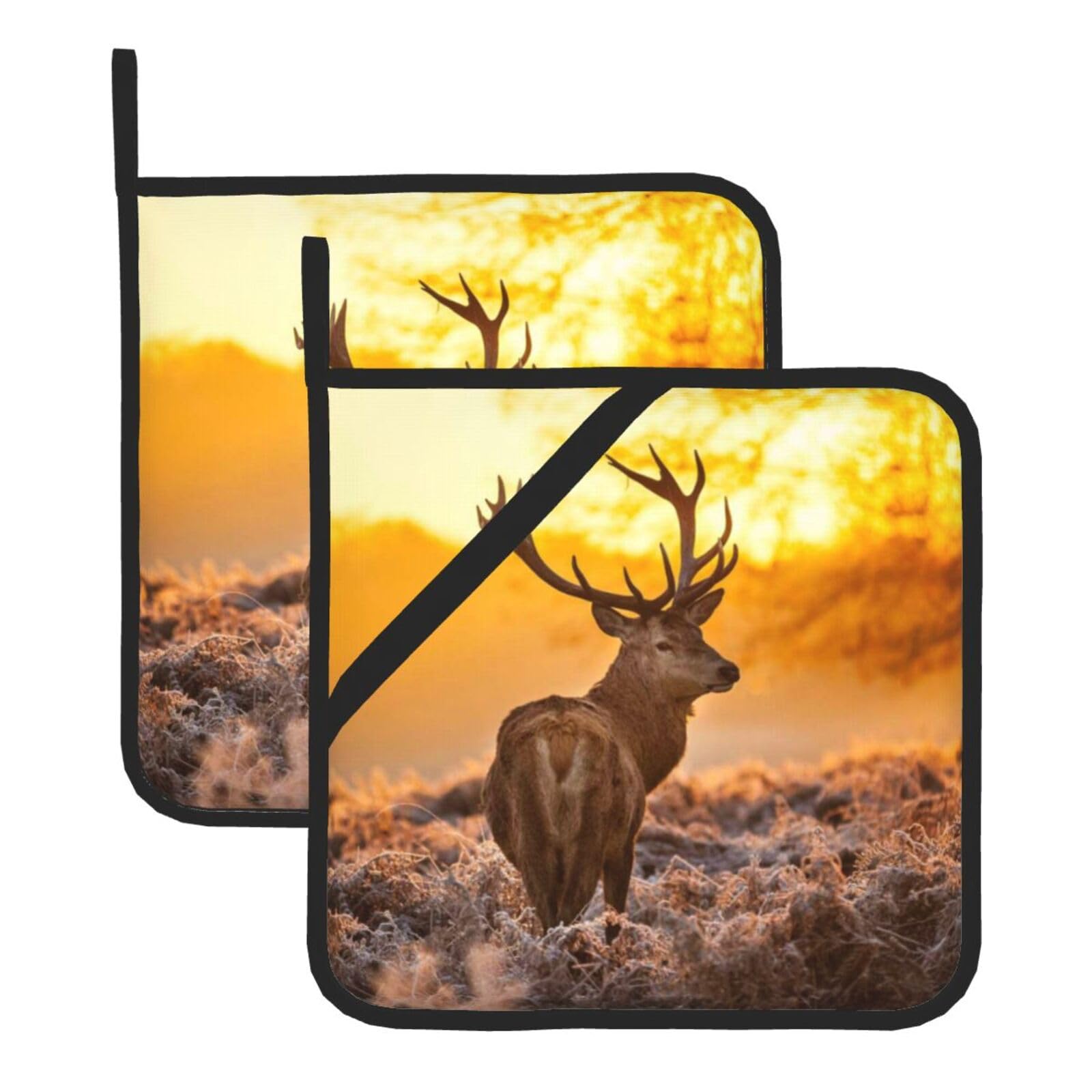 KFRXXZQB 2-Pack Square Pot Holders, Oven Mitts For Baking & Bbq