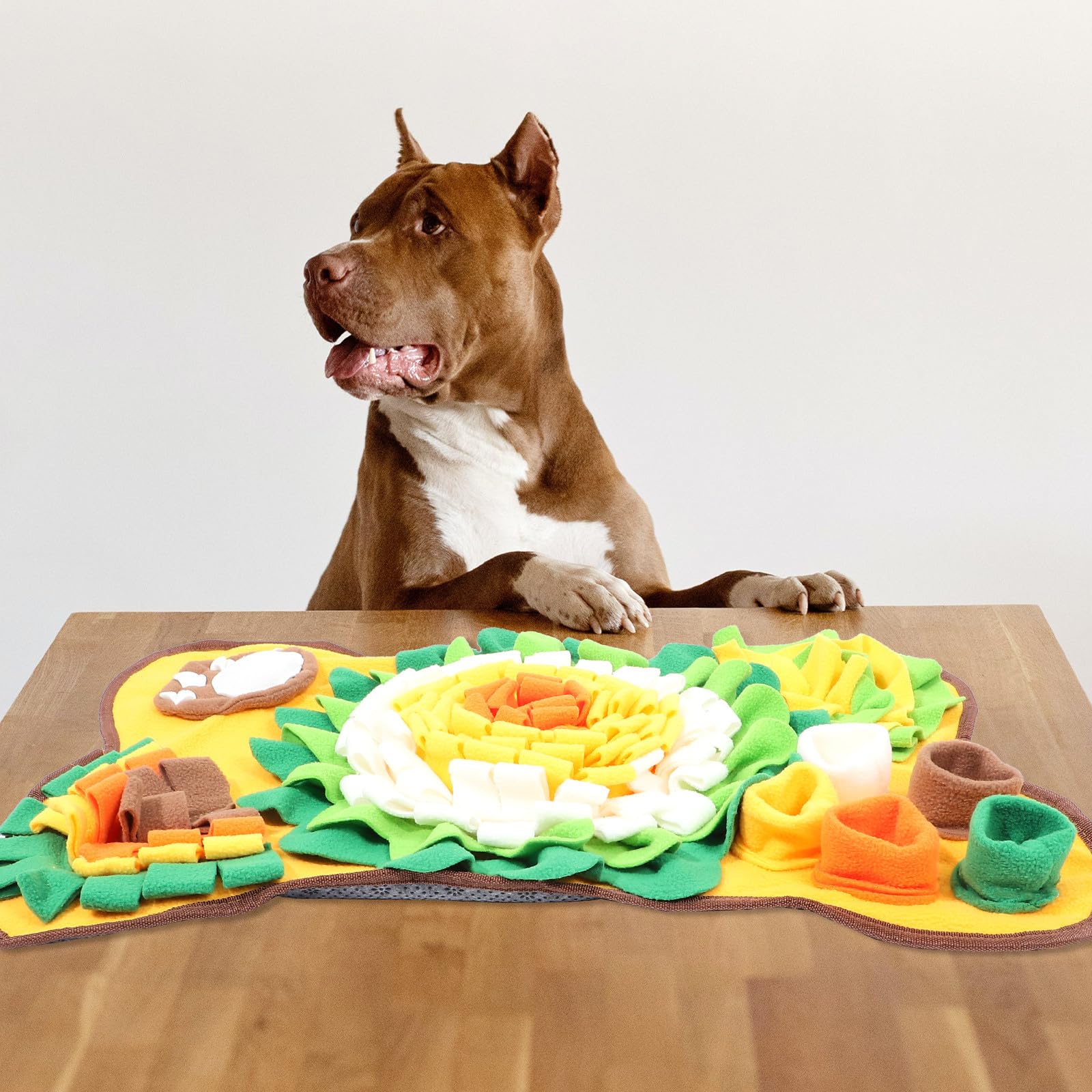 VALICLUD Almohadilla Olfativa para Entrenamiento Olfativo en Forma de Hueso, Estera de Forrajeo de Material de Algodón y Juego de Búsqueda de Comida para Perros para Cachorros