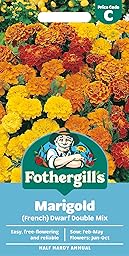 Fothergill's Marigold (French) Dwarf Double Mixed Flower Seeds, 250 Seeds, Sow: Feb-May, Orange/Yellow