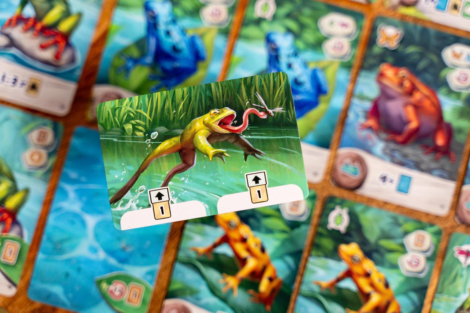 Capstone Games Pondscape - Gioco di carte strategico per adulti e ragazzi, 2 giocatori | o altro - Gioco di carte asimmetrico, misterioso, basato sul ruolo e tematico per il divertimento notturno e in famiglia