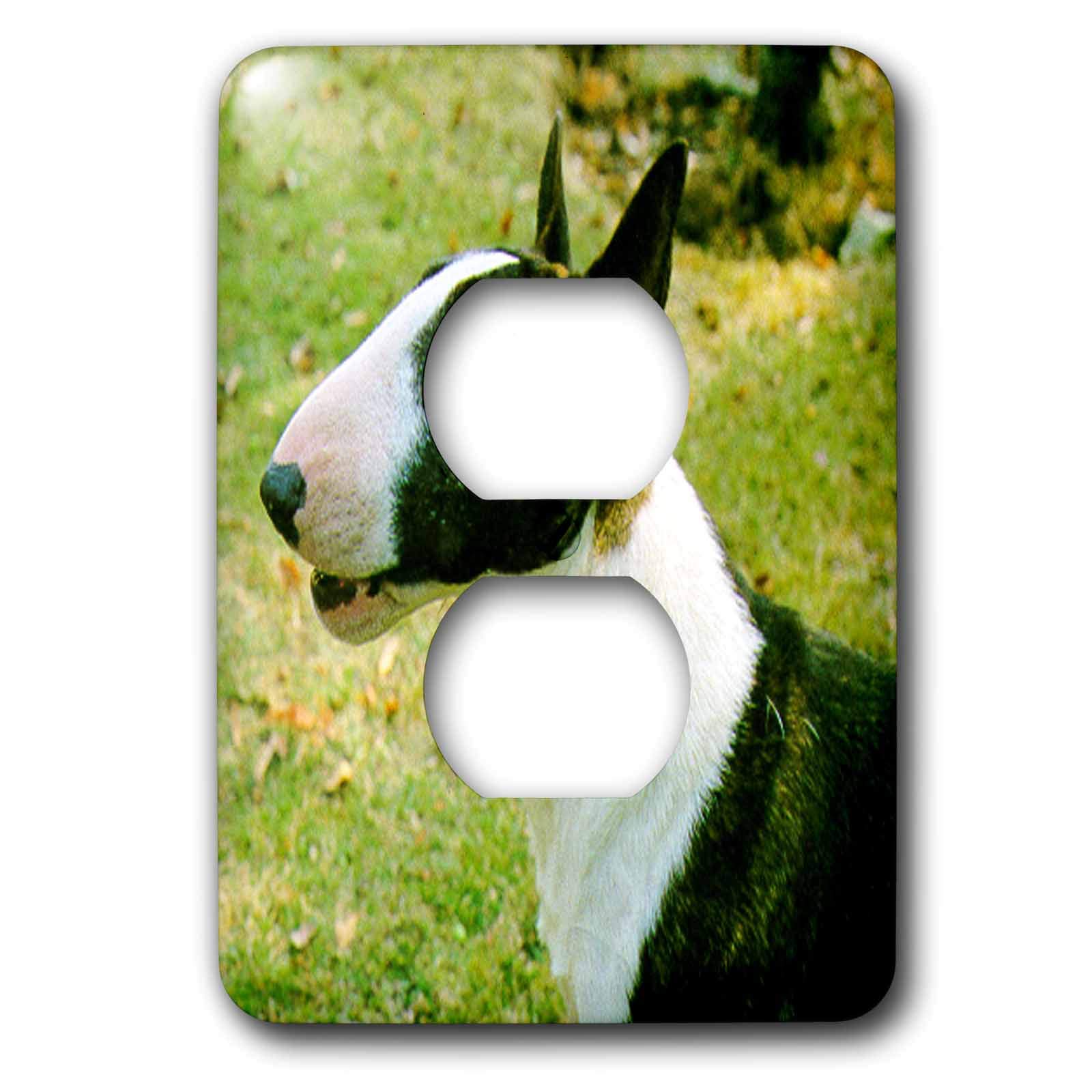 Bull Terrier miniature 2 prises lsp_490_6 3dRose plaque de décoration murale