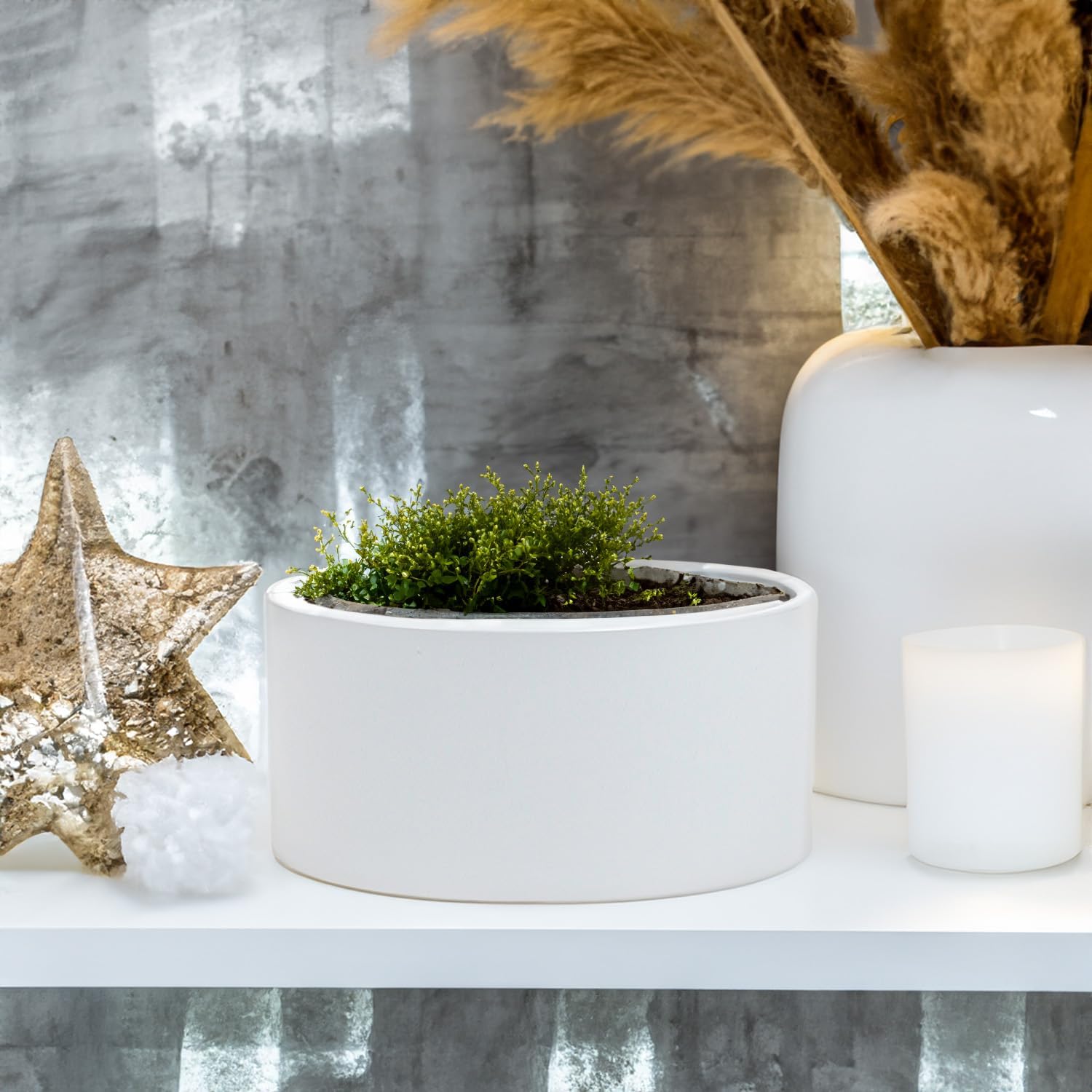 WGV Matte White Ceramic Cylinder Vase Width 8" Height 4" Elegant Modern Floral Container Planter Pot Centerpiece for Event Wedding Home Decor, White, 1 Piece