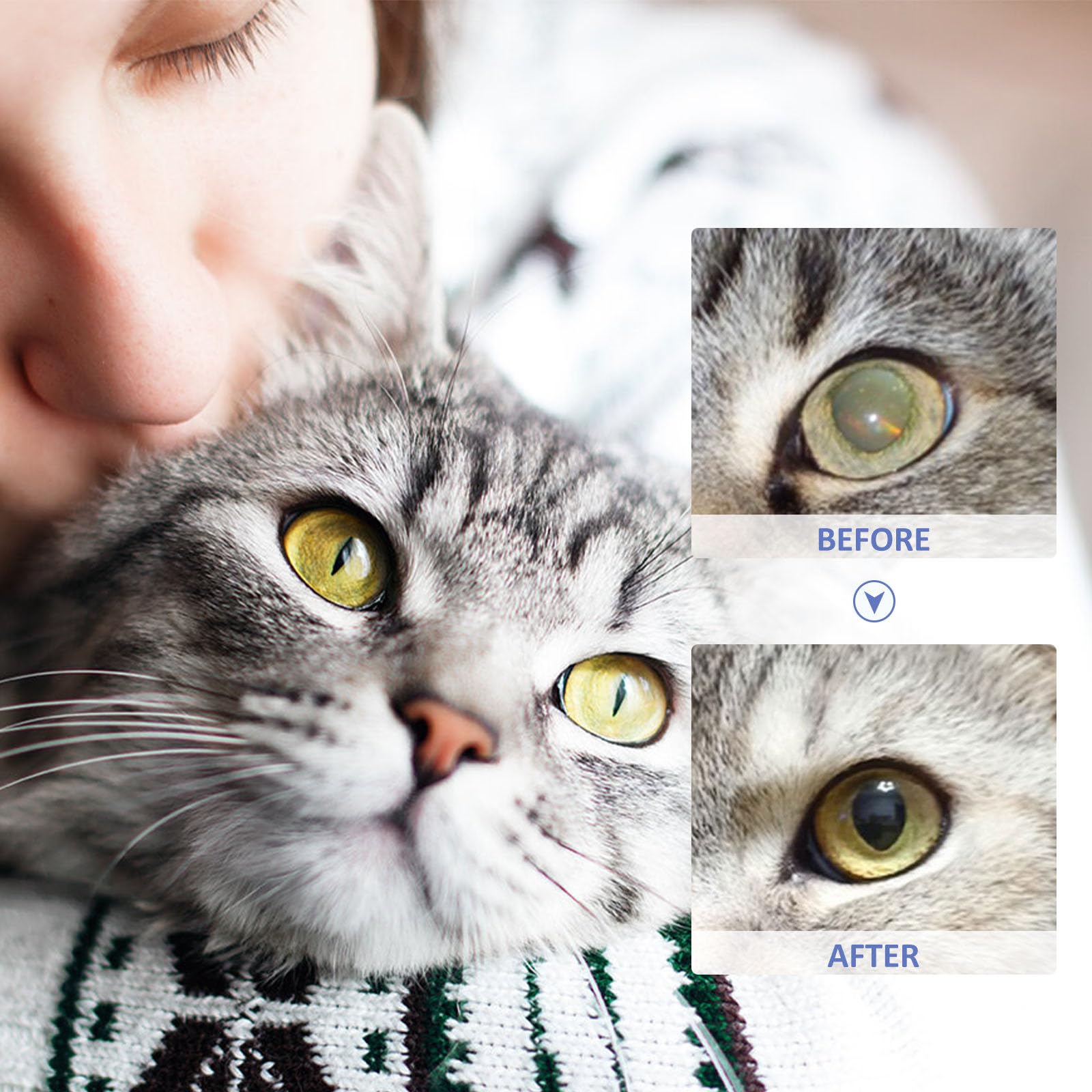 Pet Eye Drops,Pet Eye Drops For Cats And Dogs To Remove,Lubricating Eye Drops for Pet,Tear Stain Remover For Dogs & Cats,Eye Itching Relief Potion for Pets,Care And Cleaning Around The Eyes,10 ml - Image 4