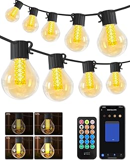 15M Smart Outdoor String Lights – App Remote Control Dimmable Garden Festoon Lights, 25LED G40 Bulbs Timer Waterproof Main…