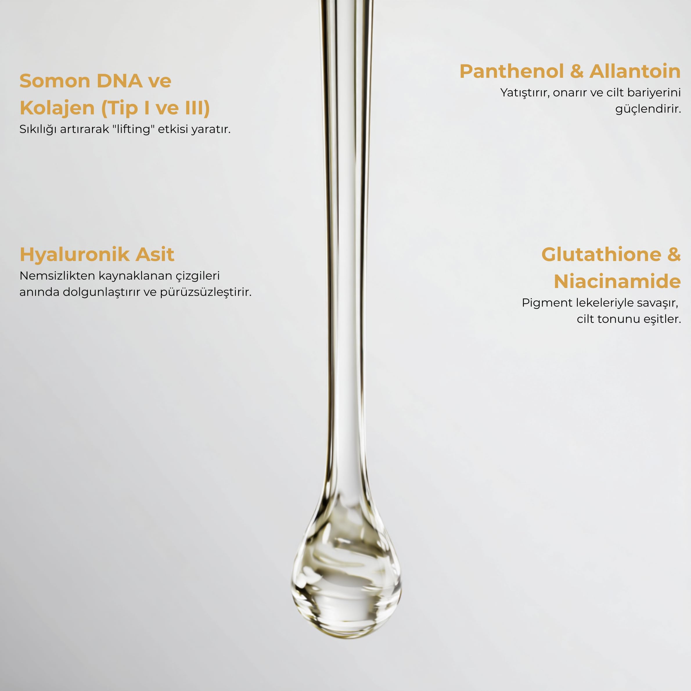 GLONE Yaşlanma Karşıtı Yüz Serumu | 50ml | Somon DNA & Kolajen | Sıkılaştırıcı ve Dolgunlaştırıcı Bakım