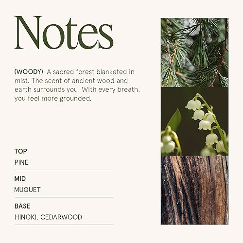 Miniatura 5 de LA JOLIE MUSE Vela de Navidad Kya Hinoki y ciprés Pino, Hinoki y madera de cedro Vela de soja con mecha de madera de 19 onzas Quema de 90 horas