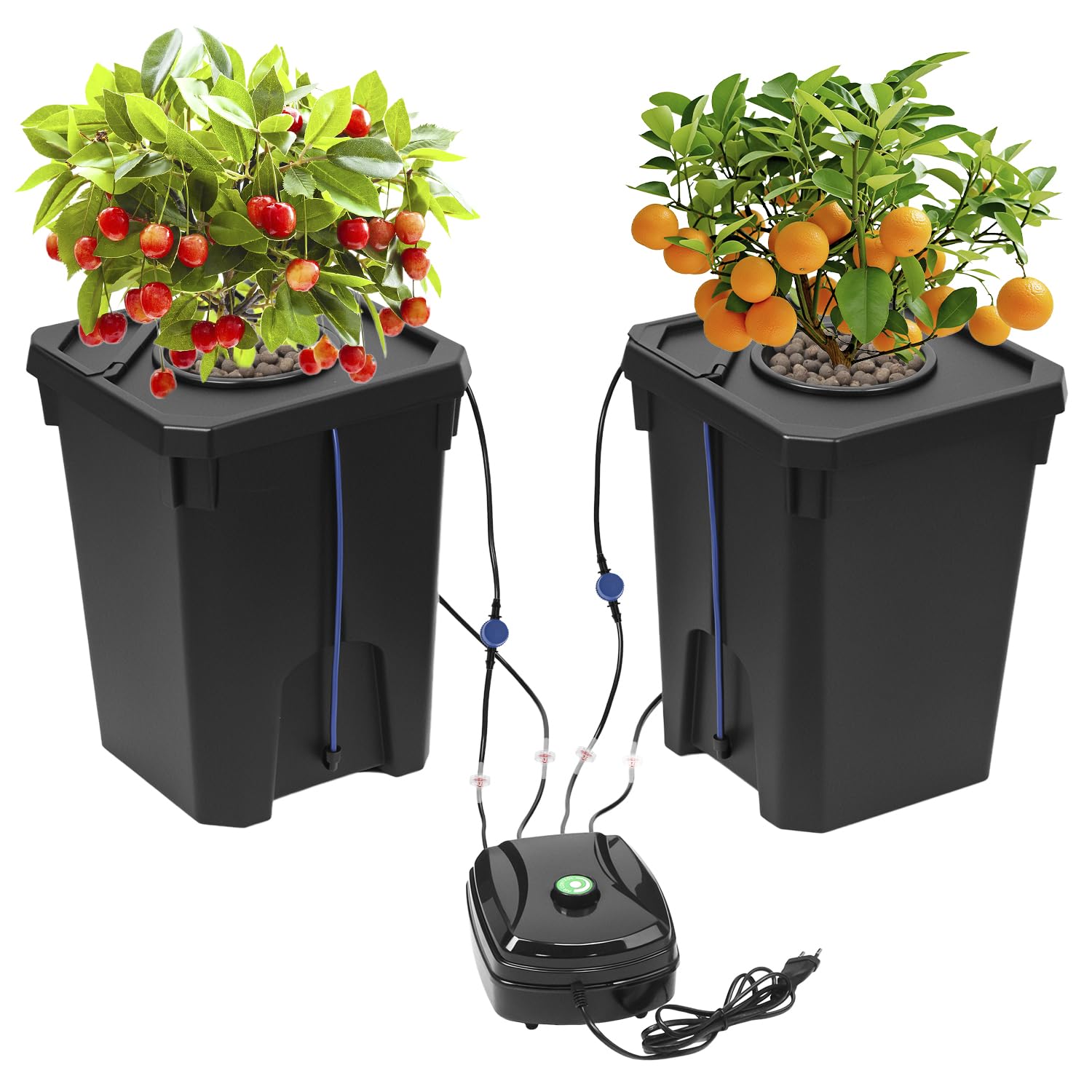 QWORK® DWC Sistema de Cultivo hidropónico, Cultivo en Aguas Profundas de 27 litros, Sistema hidropónico, con Kit de Goteo para Maceta, Bomba de Aire de 8W, 2 Cubos