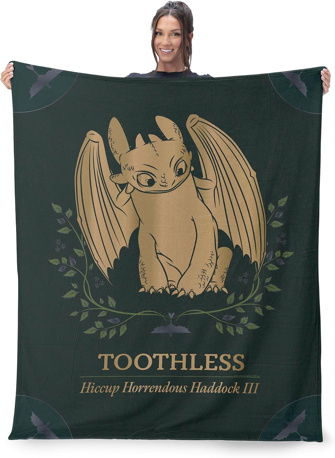 How to Train Your Dragon Hiccup and Toothless Silk Touch Throw Blanket 60x80 inches