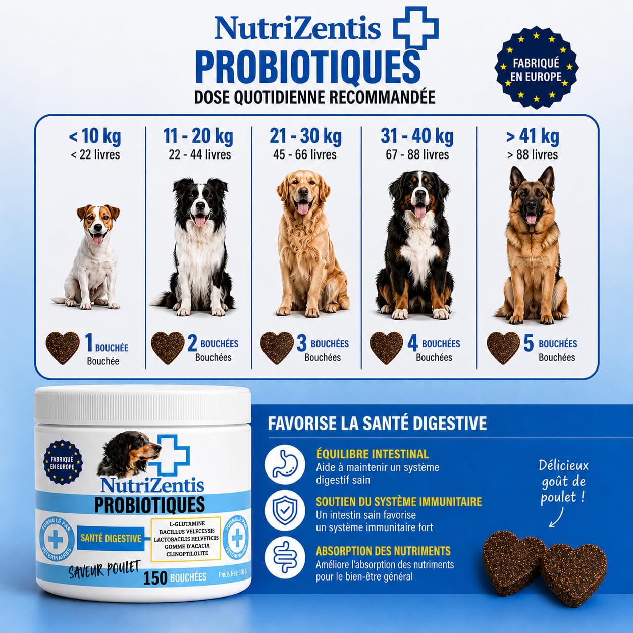 Probiotique Chien 150 Bouchées Répare la Flore intestinale du Chien, renforce Son système immunitaire, probiotiques pour Chiens | Fabriqué en Europe | 150 Bouchées au Poulet