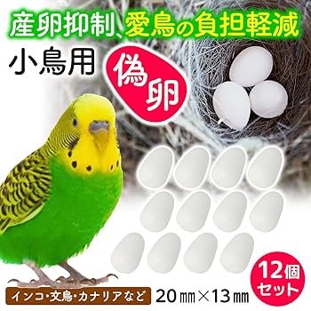 betcover‼︎ 「卵」「馬」「時間」3枚セット Amazon.co.jp: betcover!! 時間 + 卵 + 馬 CD セット : おもちゃ