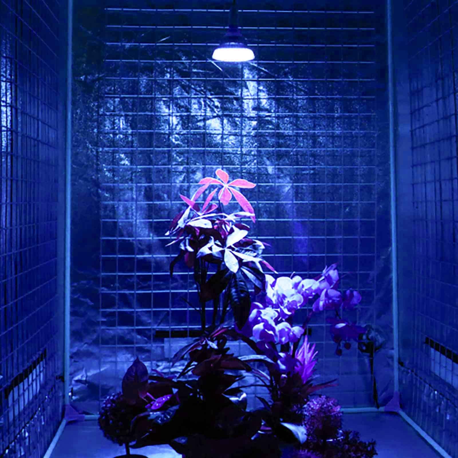 UV Grow Glühbirne für Zimmerpflanze, 300nm-400nm UVB Lignt Glühbirne für Erhöhungen Chlorophyll, VOll UV LED Pflanzenlampe Blüte, Fruchtbildung, Keimung