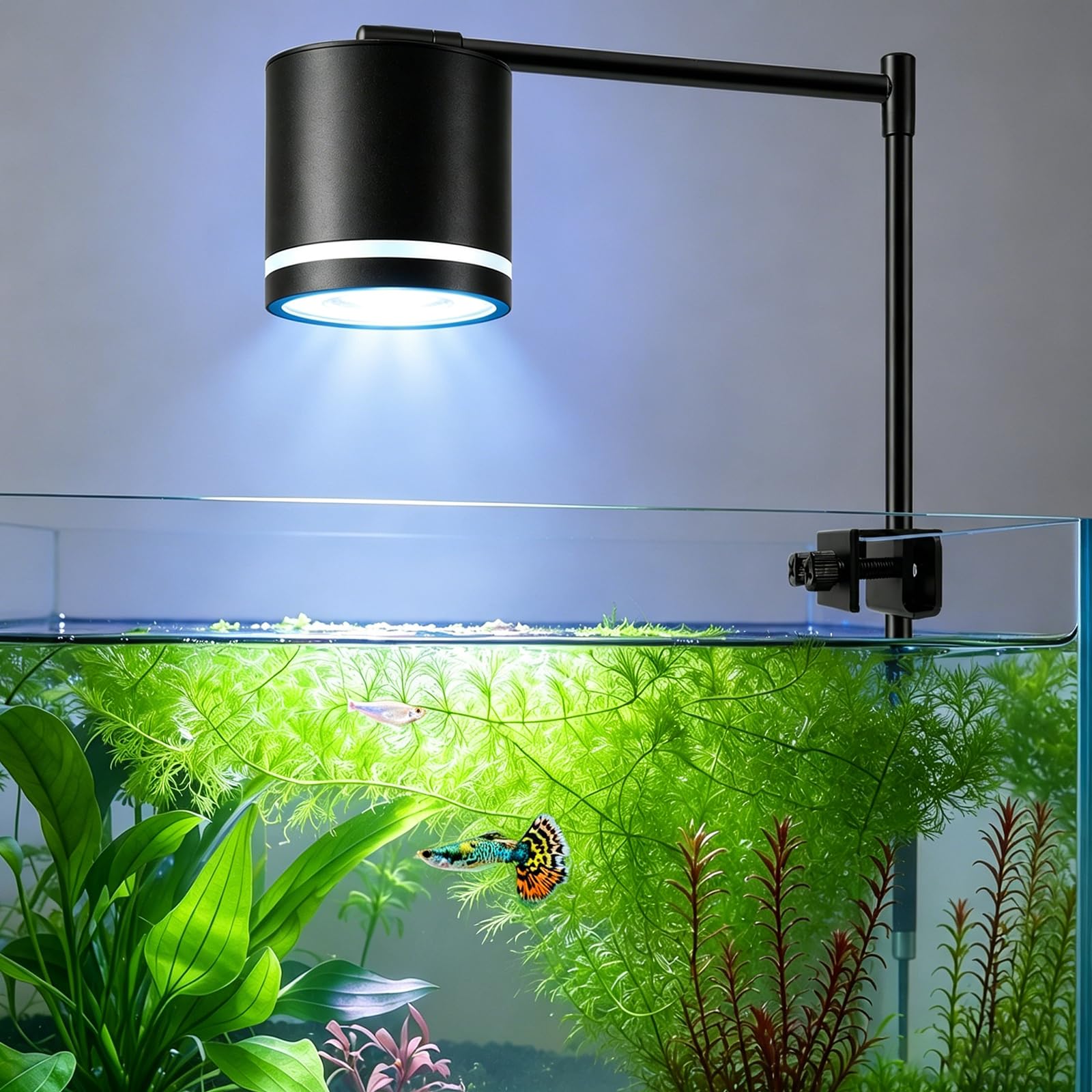 FEDOUR Clip-On Aquarium Beleuchtung, 8.5-15W Aquarien Lampe COB Spotlight mit Timer, 3 Licht Modus, 10-stufige Helligkeitseinstellung, Höhen- und Neigungsverstellbar, – für Süßwasser- und Riffaquarien