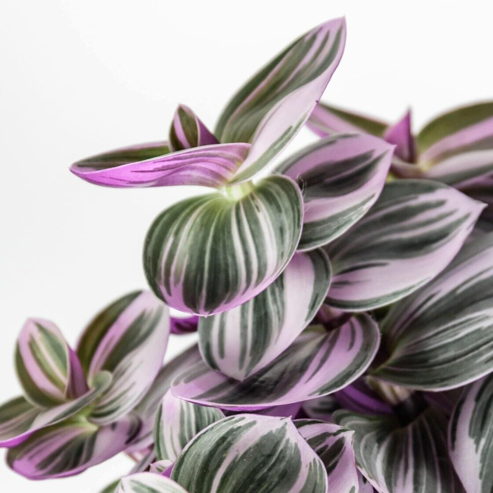 View 6