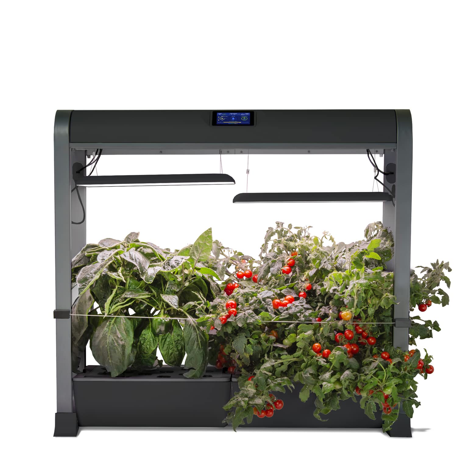 Buy AeroGarden Farm 24Plus with Salad Bar Seed Pod Kit Indoor Garden