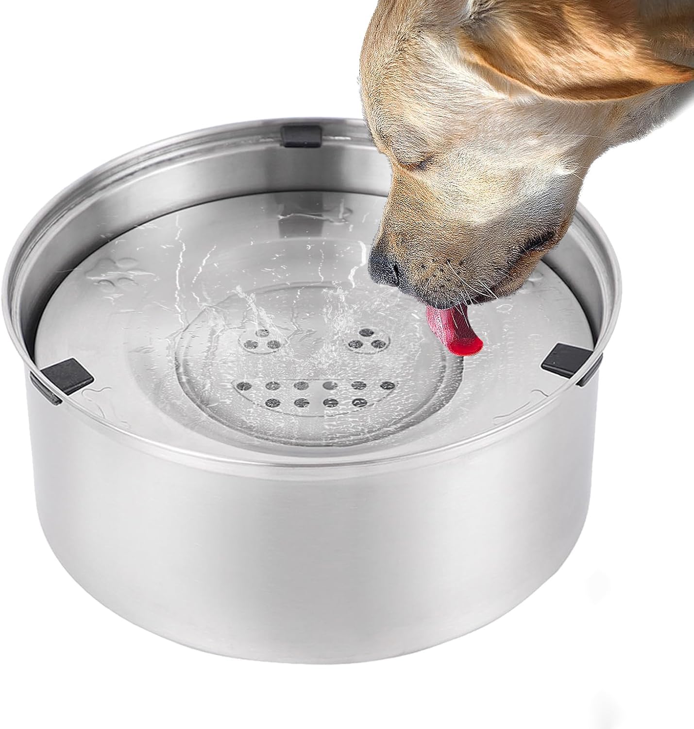 Cuenco de agua para perros de 1 L, sin babeo, de acero inoxidable, antigoteo, antifugas, antideslizante, antigolpes, para mascotas, apto para lavavajillas