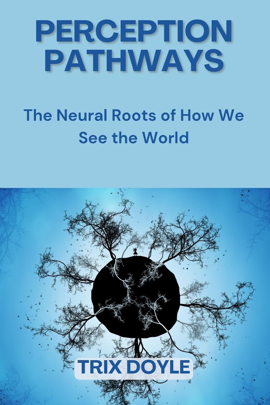 Perception Pathways: The Neural Roots of How We See the World