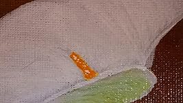 Review Image by Janene Janene