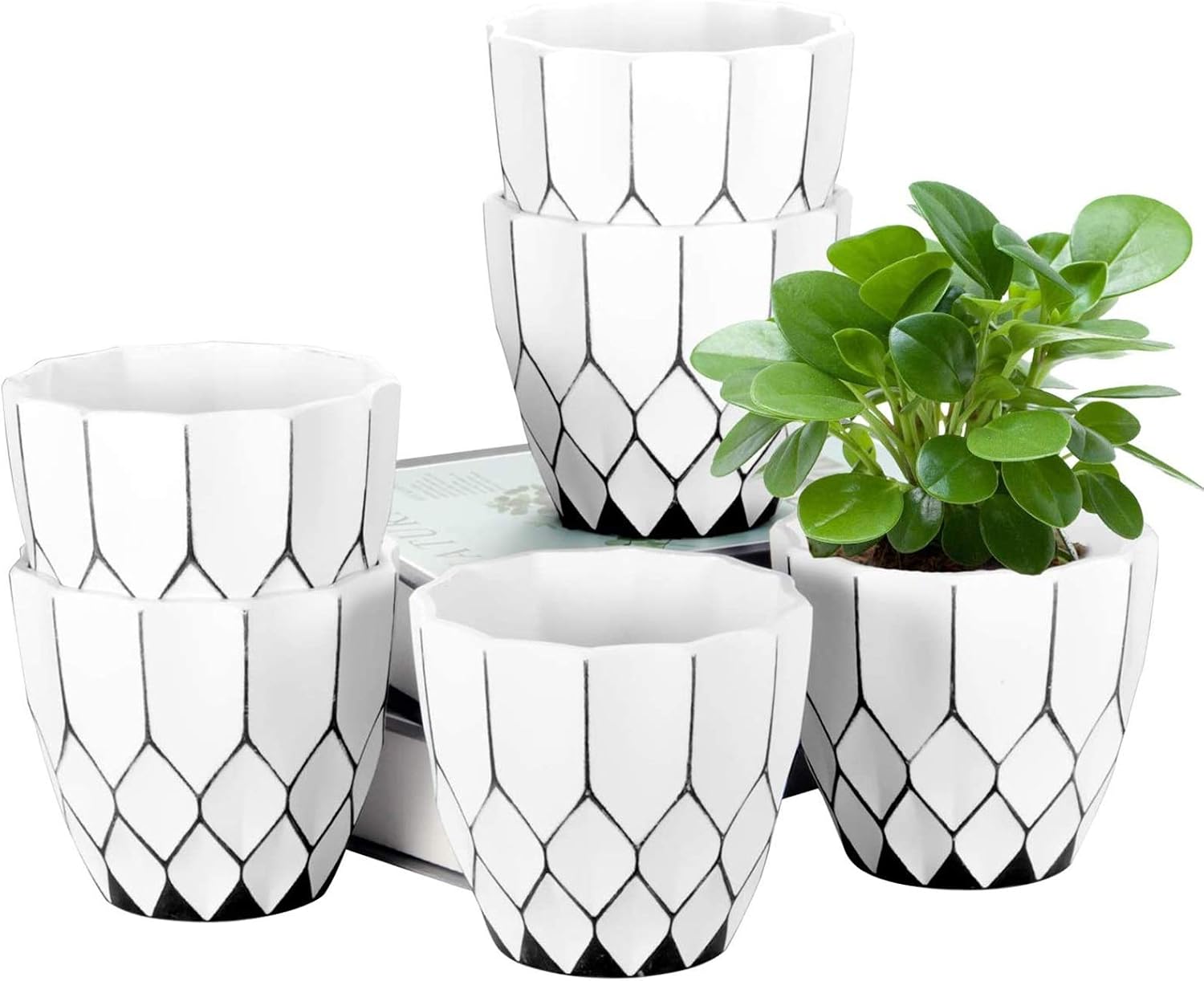 ZOUTOG Small Planter, 4.5 Inch Decorative Planters, Small Flower Pots for Plant Hangers, Succulents , Herbs, Little Snake Plants, Pack of 6, Plants not Included
