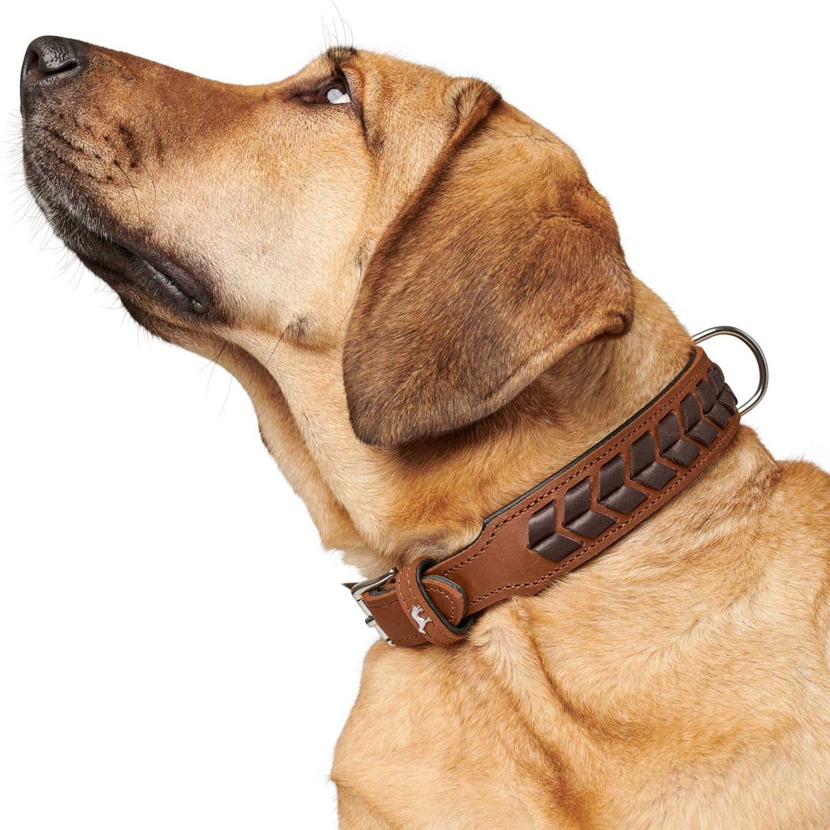 HUNTER 68556 - Collar EL Paso, 151 g