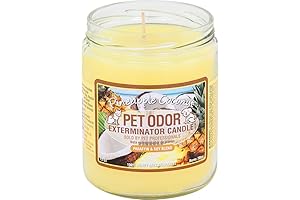 Odor Eliminating Pineapple & Coconut Scented Candles (2-Pack)