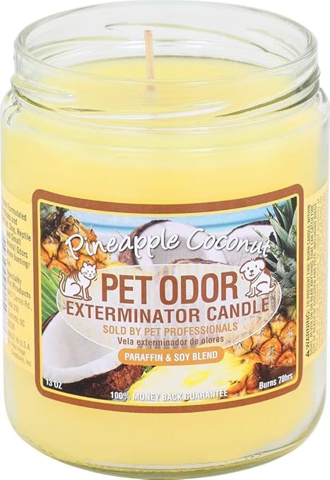 pet odor candles amazon