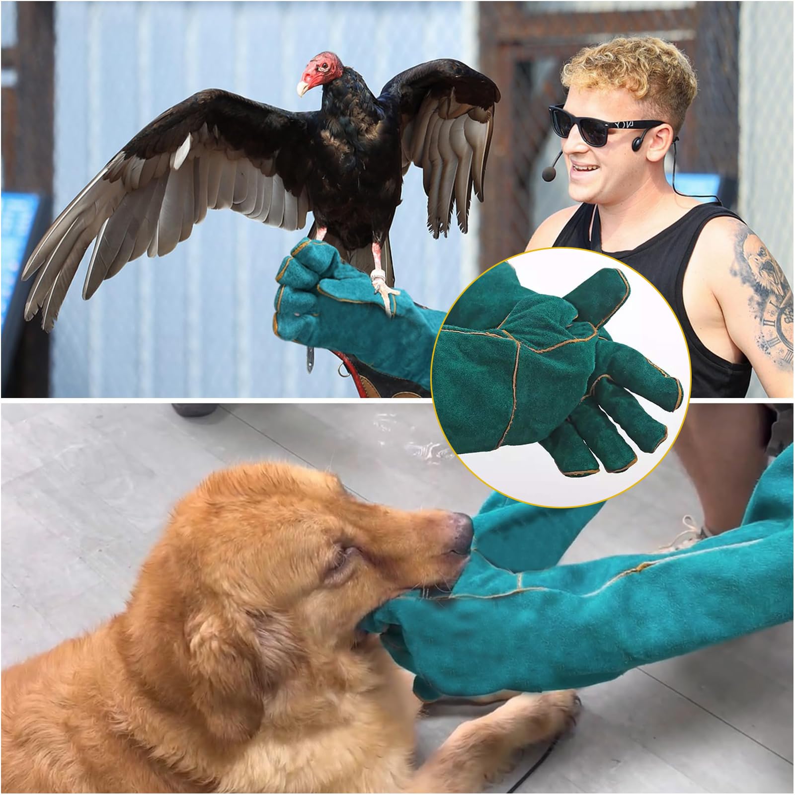 Guanti Antimorso da Lavoro 40 cm per Animali – Cani, Gatti, Uccelli, Serpenti