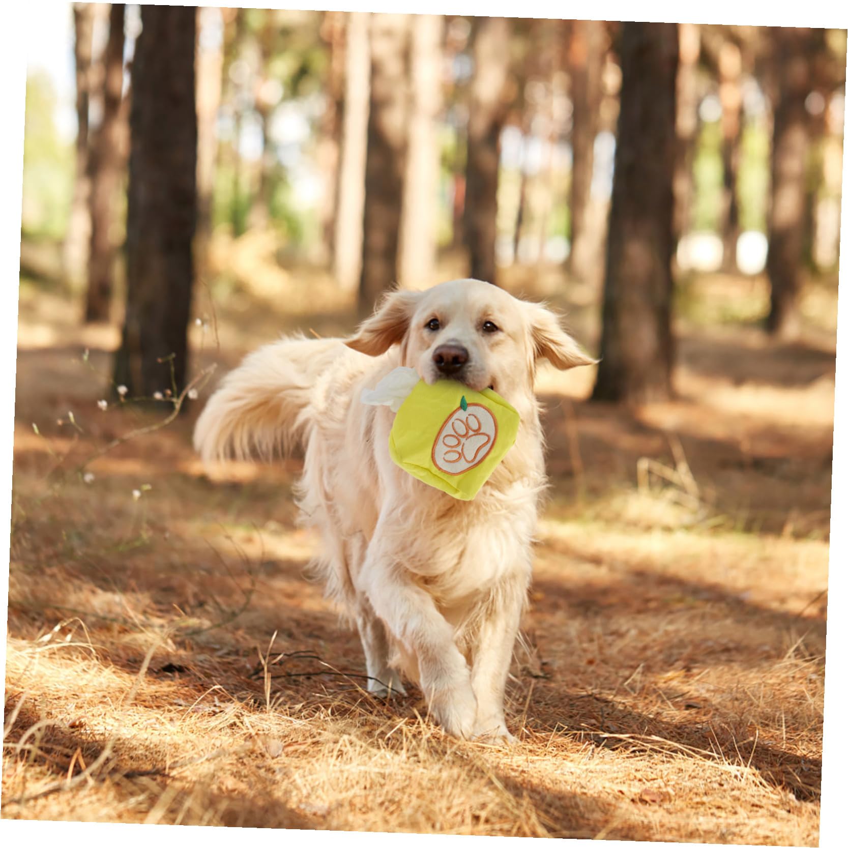Mipcase 5stücke Tissue Toy Für Hunde Snuffle Train Spielzeug Geruchssinns Energiesparend Interaktives Spielzeug Für