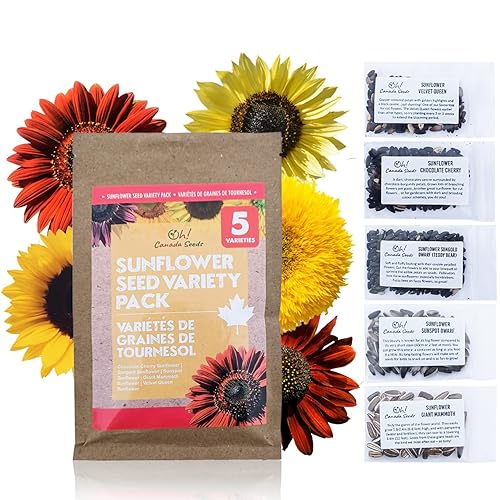 Sunflower Seeds for Planting Variety Pack – 5 Varieties