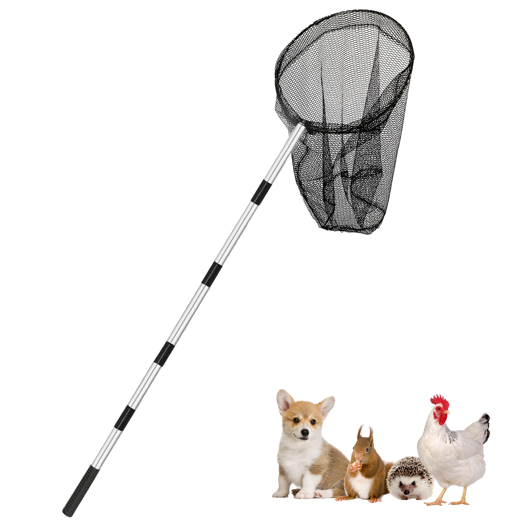 Catch Net Small Animal Catcher for Chicken, Duck, Goose, Fish, Cat, Bird,  Raccoon, Dog and Others (Detachable Handle 16 
