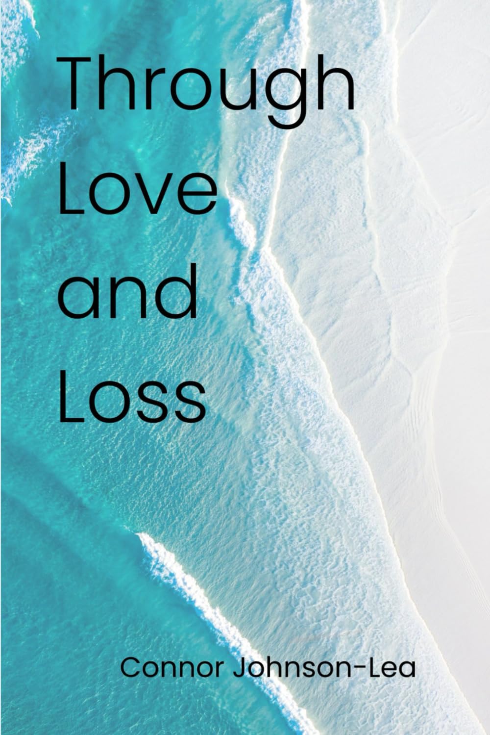 Through Love and Loss: Poems Through the Seasons of the Heart