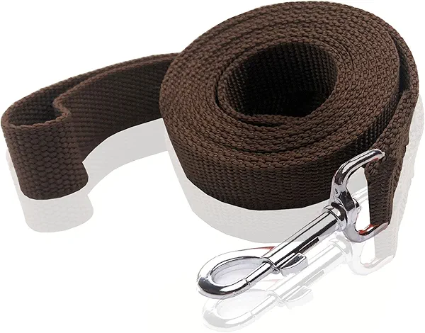 Nylon Dog Leash 10 Feet Long, Walking Training Dog Leashes for Medium Large Dogs, 1 Inch Wide (Brown)