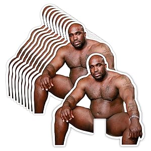 GRITKULTURE Funny Barry Wood Light Switch Decal St