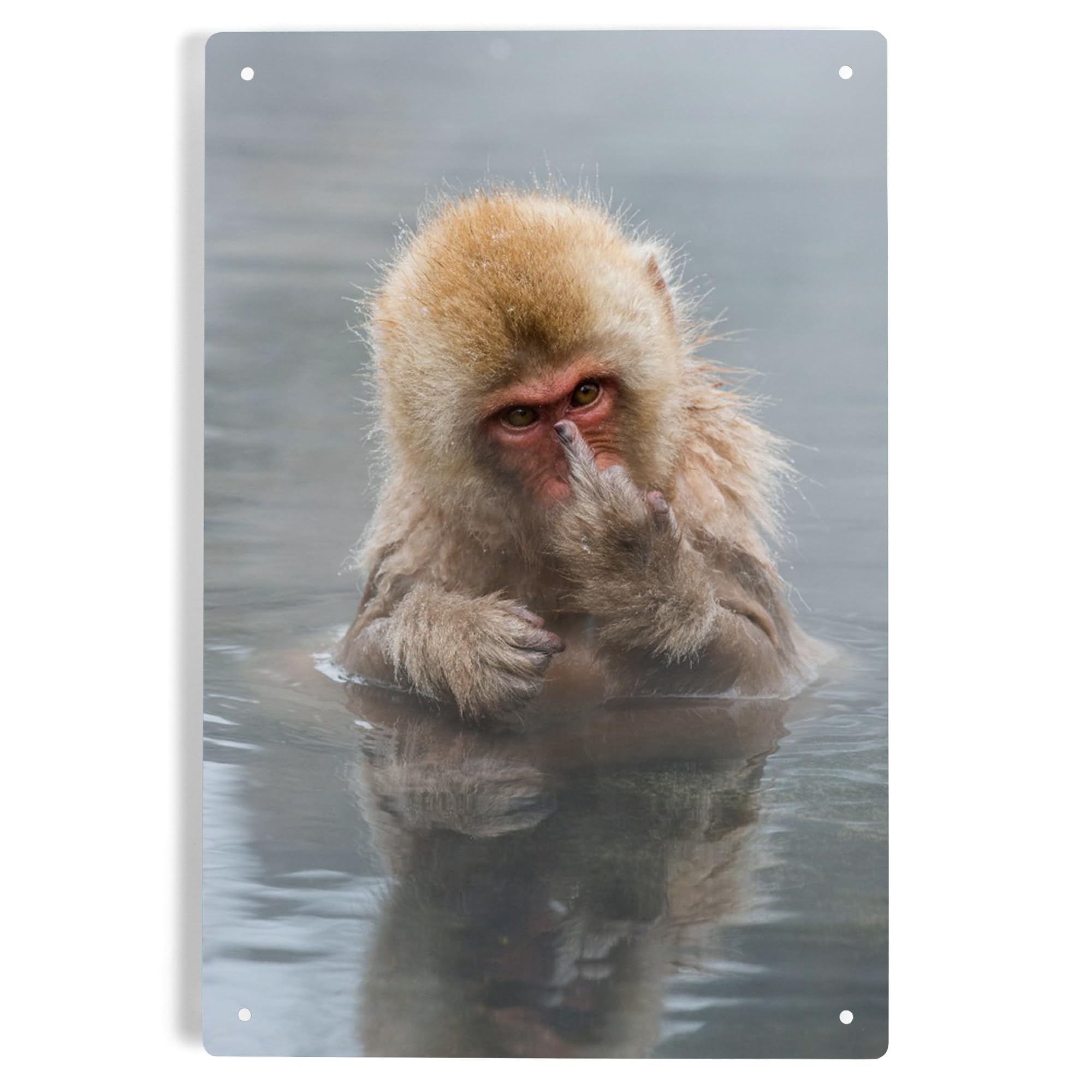 MONKEY MAJIK サイン入り 告知ポスター B2 2016 Amazon.com: Lantern Press 6x9 Inch Metal Sign, Japanese Macaque