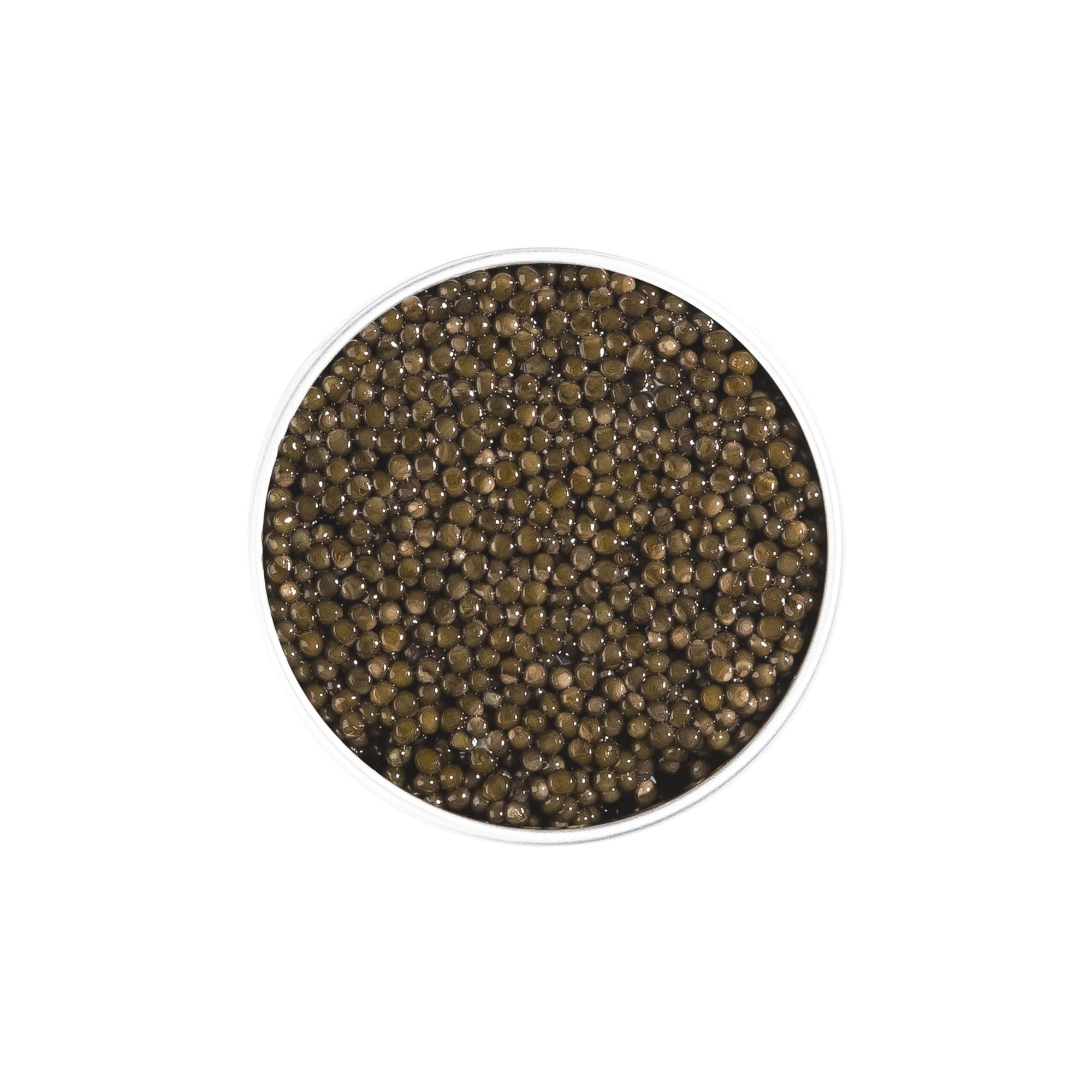 Caviar Osciètre Français – Acipenser Gueldenstaedtii - 100g - Livraison réfrigérée - CAVIAR AMBASSADE