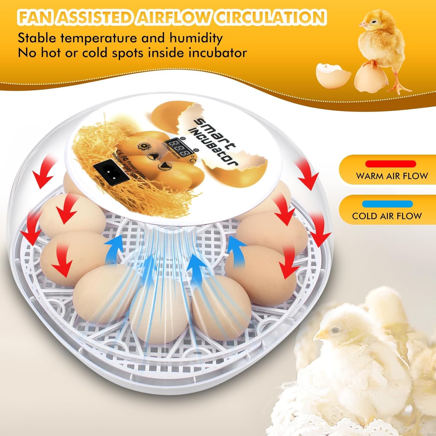 Egg incubators for Hatching Eggs, Automatic Egg Turning 12-24 Poultry Incubator with Temperature Control,Automatic Water Adding,℉ Display,360° View for Hatching Chickens, Duck,Quail,Goose Eggs (M12)
