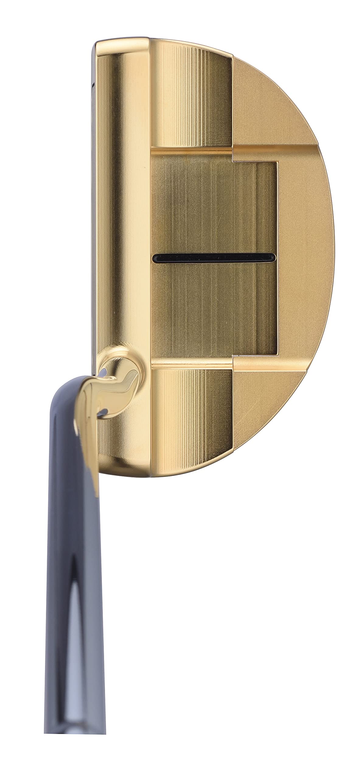 Amazon.com : HONMA PP202 Putter RH Gold Plated 34 : Sports & Outdoors