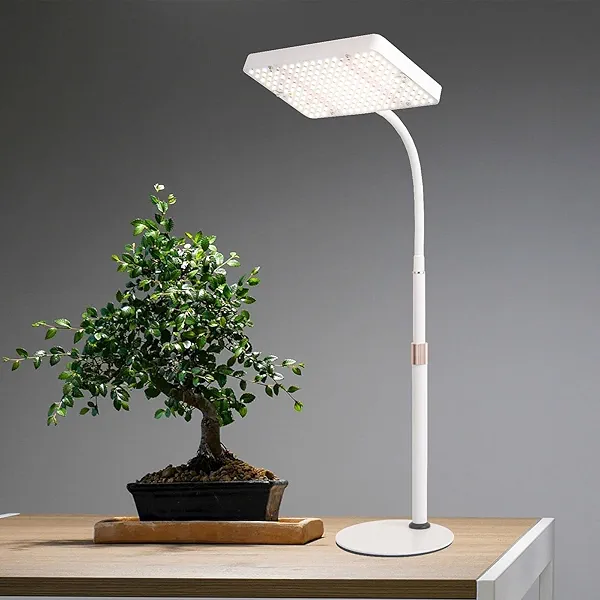 JINHONGTO Tabletop Grow Light LED Full Spectrum UV IR, Veg Seed Starting Seedlings Bonsai Houseplant Plant Light, Desk Grow Lights for Indoor Plants, 16"-24" Height Adjustable