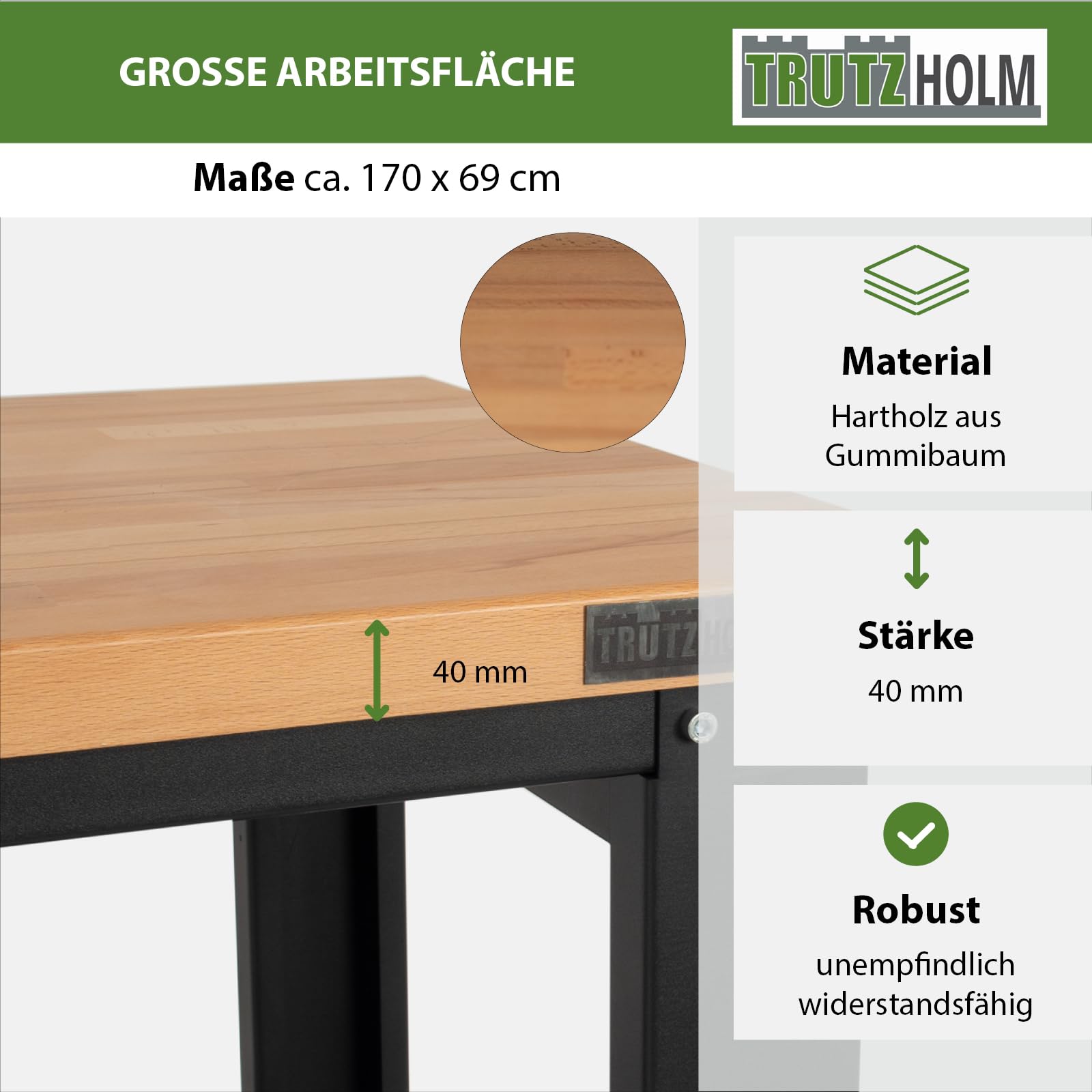 TRUTZHOLM Werkbank Profiline XXL 170 x 69 cm, 1000 kg Traglast, freistehender Werkstatttisch mit massiver Hartholzplatte, Robustes Stahlgestell, Arbeitshöhe 93 cm, anthrazit